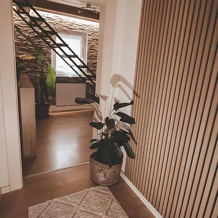 Apartment Traumhaftes Lauf *